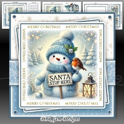 Santa Stop Here Blue Mini Kit