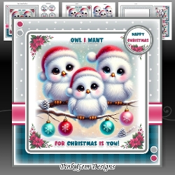 Owl I Want Mini Kit