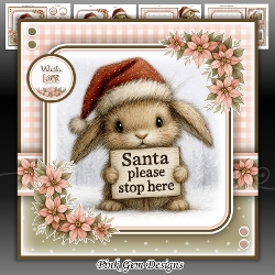 Santa Bunny Mini Kit