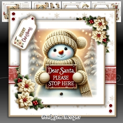 Santa Please Stop Here Mini Kit
