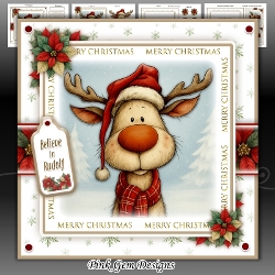 Believe In Rudolf Mini Kit
