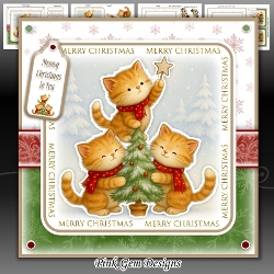 The Christmas Star Mini Kit