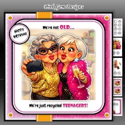 Recycled Teenagers Mini Kit