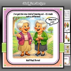 Hearing Aid Female Mini Kit