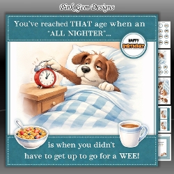 All Nighter Mini Kit