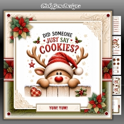 Cookies Mini Kit