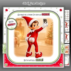 Elfie Selfie Mini Kit
