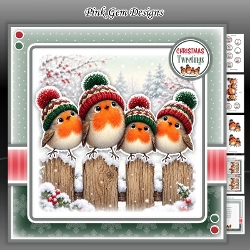 Quirky Robins 2 Mini Kit