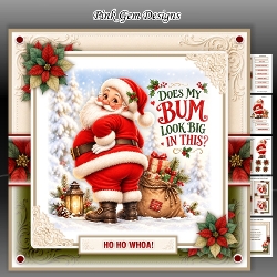 cup1468306_2053 - Santas Big Bum Mini Kit
