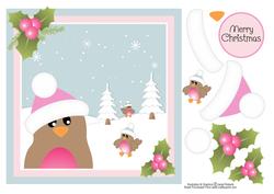 Robins Christmas Topper