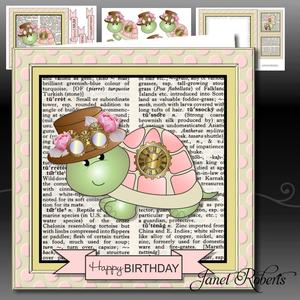 Pink Steampunk Turtle Dictionary Mini Kit