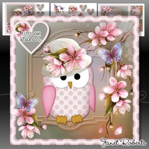 Hoot Hoot Hurray Mini Kit