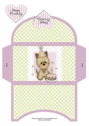 Little Millie's Birthday Money Wallet