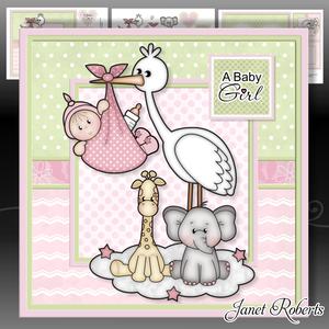 New Baby Girl Stork Mini Kit