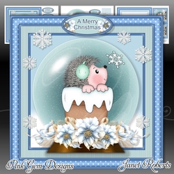 Hedgehog Snow Globe Mini Kit
