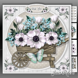Image of cup773026_2053 - White Rose Barrow Mini Kit