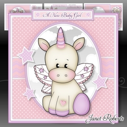 Baby Unicorn Mini Kit. New Baby Girl. Birthday With Ages