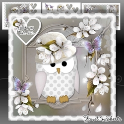 Hoot Hoot Hurray 2 Mini Kit