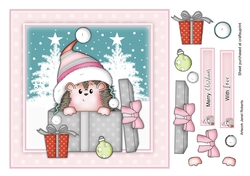 Christmas Gift Hedgy