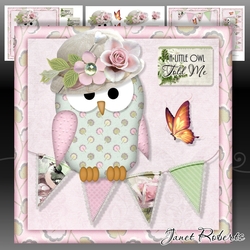 A Little Owl Told Me 2 Mini Kit