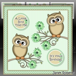 A Little Bird Told Me Green Mini Kit
