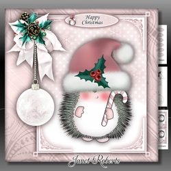 Hedgy with Candy Cane Pink Mini Kit
