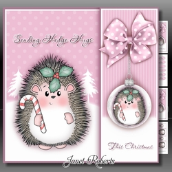 Sending Hedge Hugs Pink Mini Kit