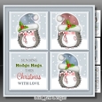 Hedge Hug Squares 2 Mini Kit