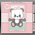 Pink Baby Panda Mini Kit