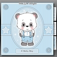 Baby Boy Panda Mini Kit