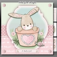 Baby Bunny Mini Kit