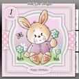Spring Bunny Pink Mini Kit With Ages 1 to 9 yrs