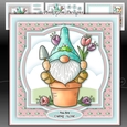 Spring Gnome With Ages 2 to 8 Yrs