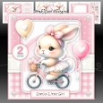 Birthday Bunny Mini Kit With Ages 1 to 2 Yrs