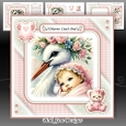 Baby Stork Girl Mini Kit