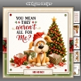 Gift Inspector Mini Kit