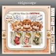 Christmas Carrots Mini Kit