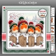 Quirky Robins 2 Mini Kit