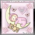 Moon Baby Girl Mini Kit - New Baby Girl