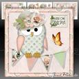 A Little Owl Told Me Mini Kit