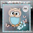 Ollie Owl Mini Kit