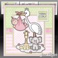 New Baby Girl Stork Mini Kit