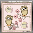 A Little Bird Told Me Mini Kit (Pink)