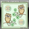 A Little Bird Told Me Green Mini Kit