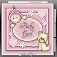 Baby Girl Mini Kit