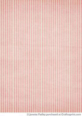 Passionatly Paisley Stripe