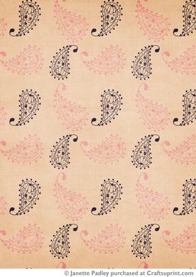 Passionatly Paisley Paisley
