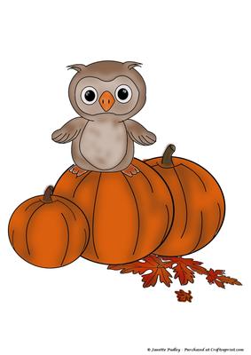 Yoo Hoos Pumpkin Coloured