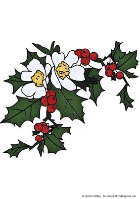 Holly & Wild Rose Coloured