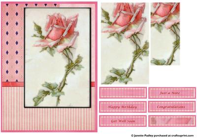 Floral Step by Step Card - Pink